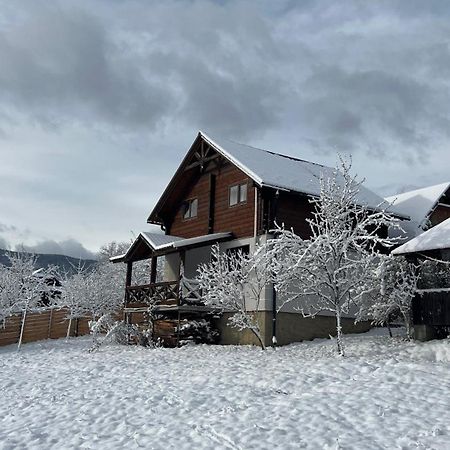 Perfect Villa Yaremche Exterior photo