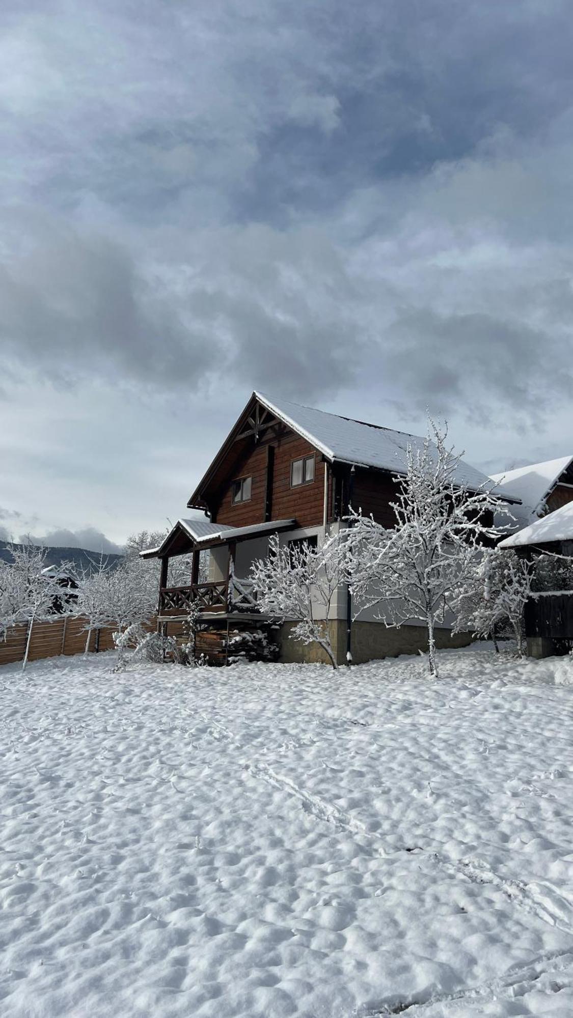 Perfect Villa Yaremche Exterior photo