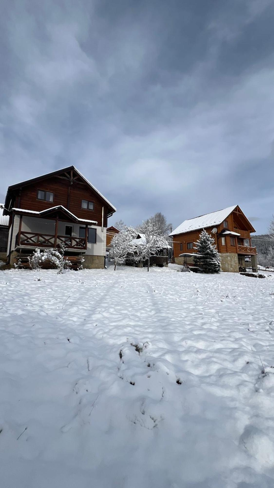 Perfect Villa Yaremche Exterior photo